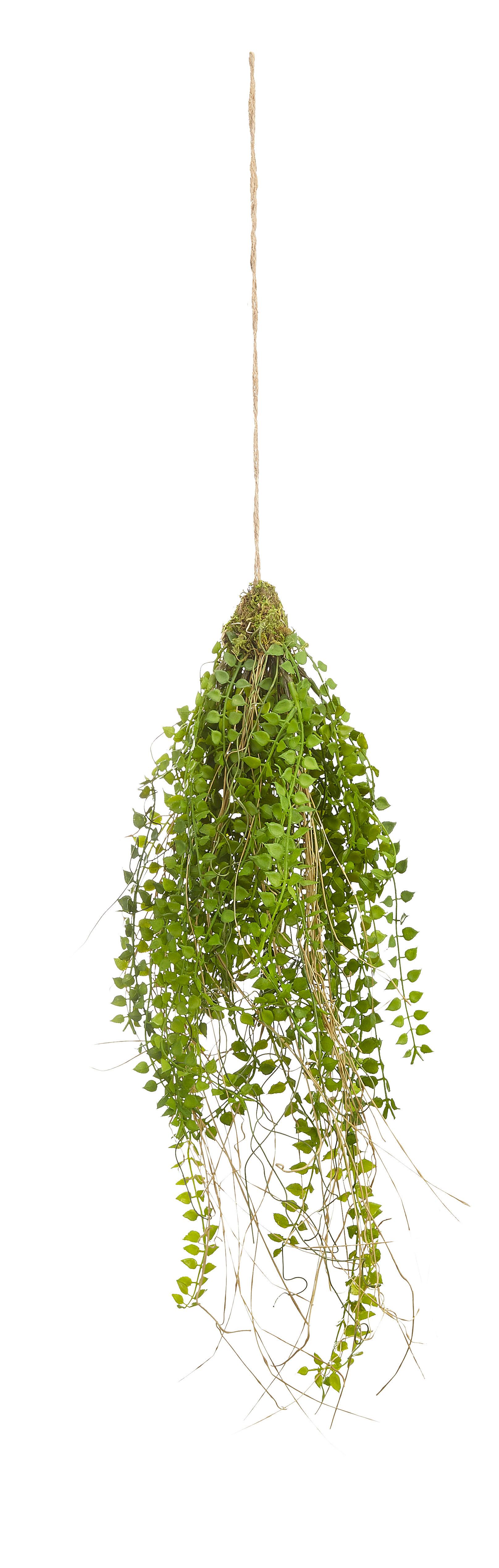 Kunstpflanze Columnea in Grün ca. 70cm - Grün, Kunststoff (70cm) - Modern Living