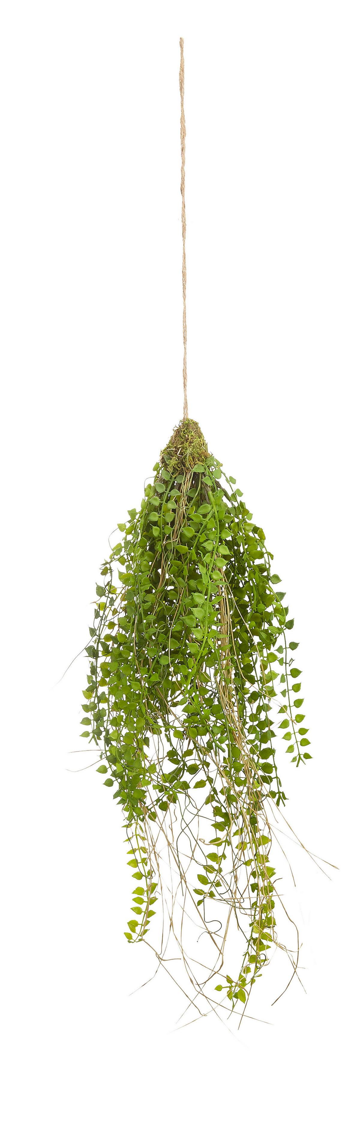 Kunstpflanze Columnea in Grün ca. 70cm - Grün, Kunststoff (70cm) - Modern Living