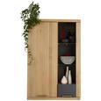 Hängeelement in Graphit/Eiche - Eichefarben/Graphitfarben, KONVENTIONELL, Glas/Holz (80/124/37cm) - ZANDIARA