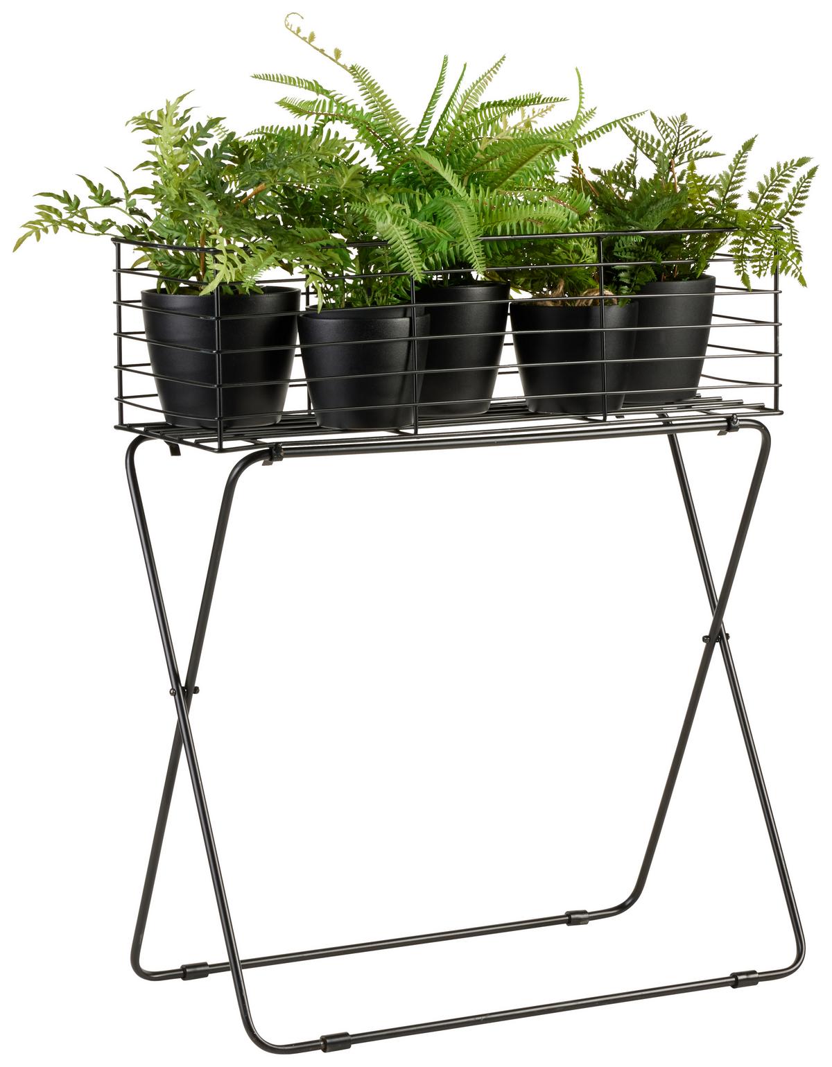 Növénytartó Black Times - fekete, Basics, fém (60/72/30cm) - Modern Living