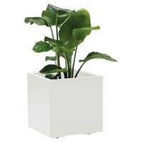 Blumenkasten Weiß - Weiß, Basics, Kunststoff (39,5/39,5/39,5cm)
