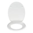 Deska Za Wc-školjko Star -sb- - večbarvno, Moderno, umetna masa (38/42/4,5cm) Deska Za Wc-školjko Star -sb- - večbarvno, Moderno, umetna masa (38/42/4,5cm)