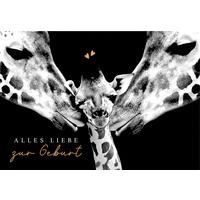 Glückwunschkarte Edelschwarz Multicolor - Basics, Papier (18/13cm)