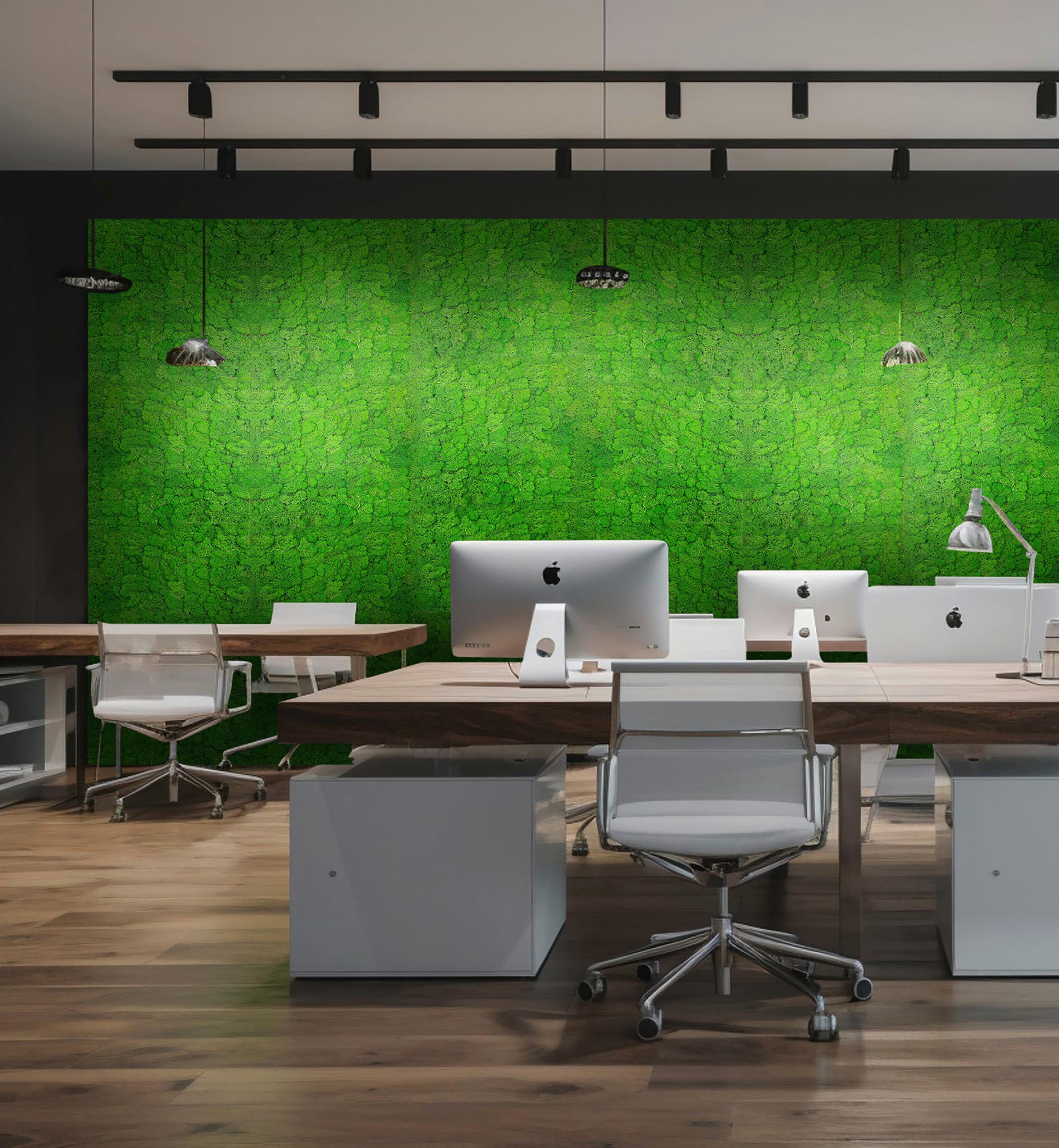 PANEL AKUSTYCZNY 11101 RICH GREEN - zielony, Konventionell, materiały naturalne (52/52/4cm) - Jangal