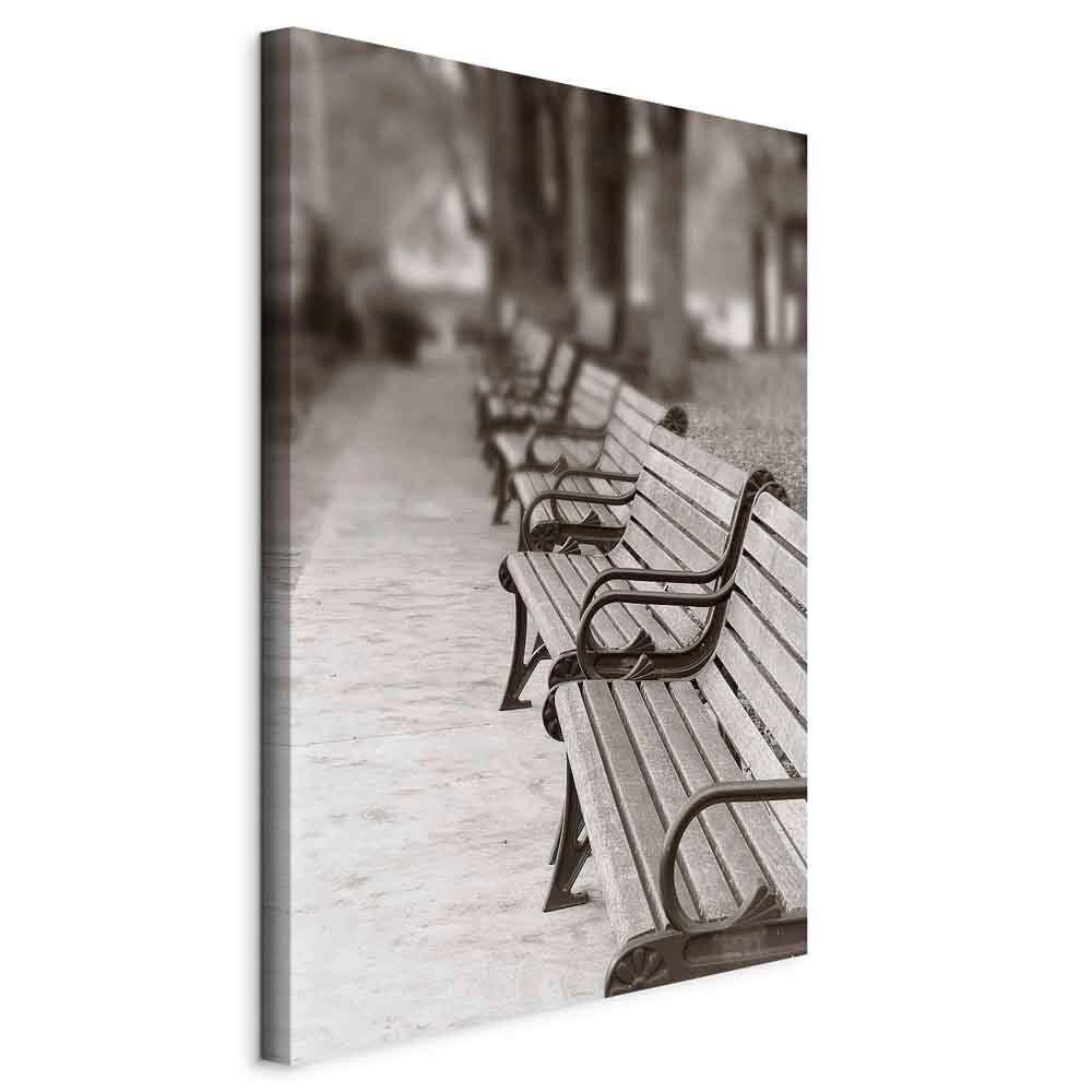 Slika Na Platnu Park Benches - siva, Basics, tekstil/leseni material (40/60/1.2cm) - artgeist
