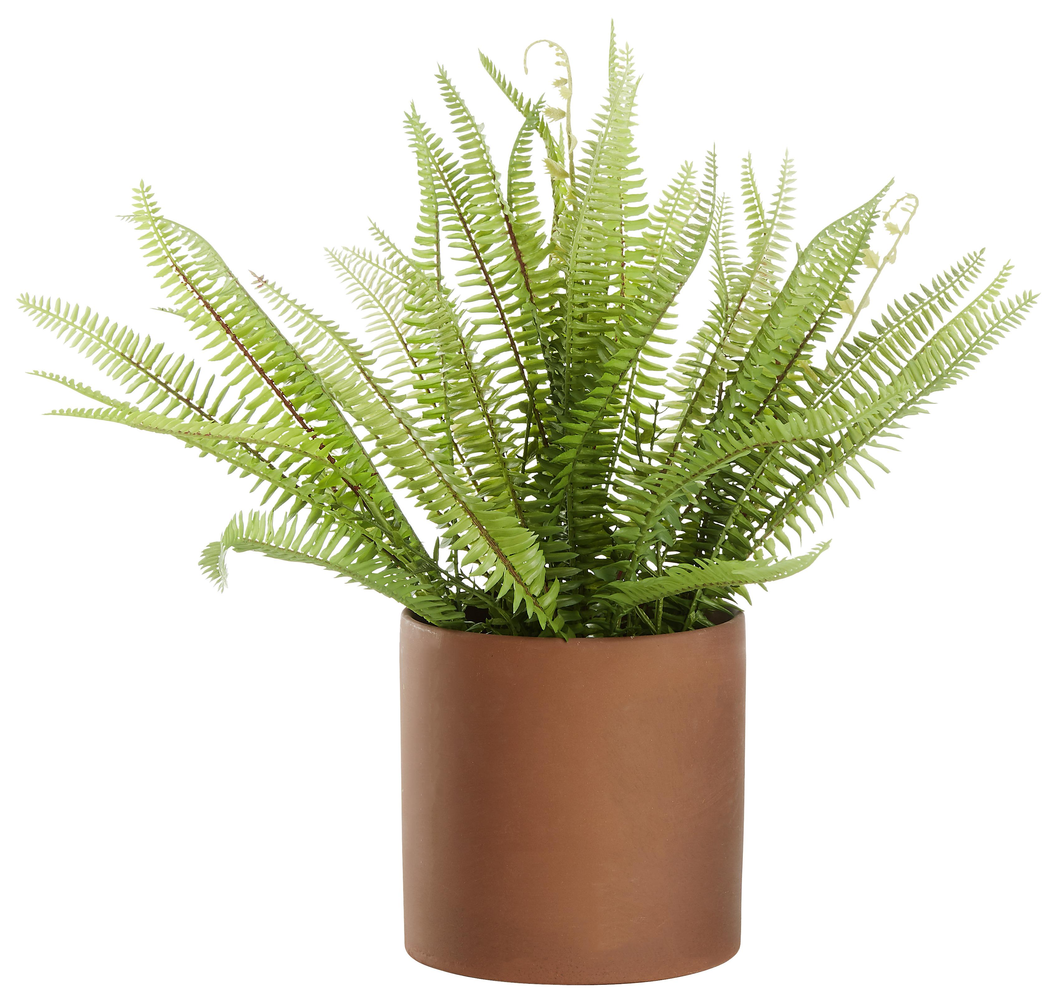 Cvetlični Lonček Terra - terakota, keramika (16,5/16cm) - Modern Living