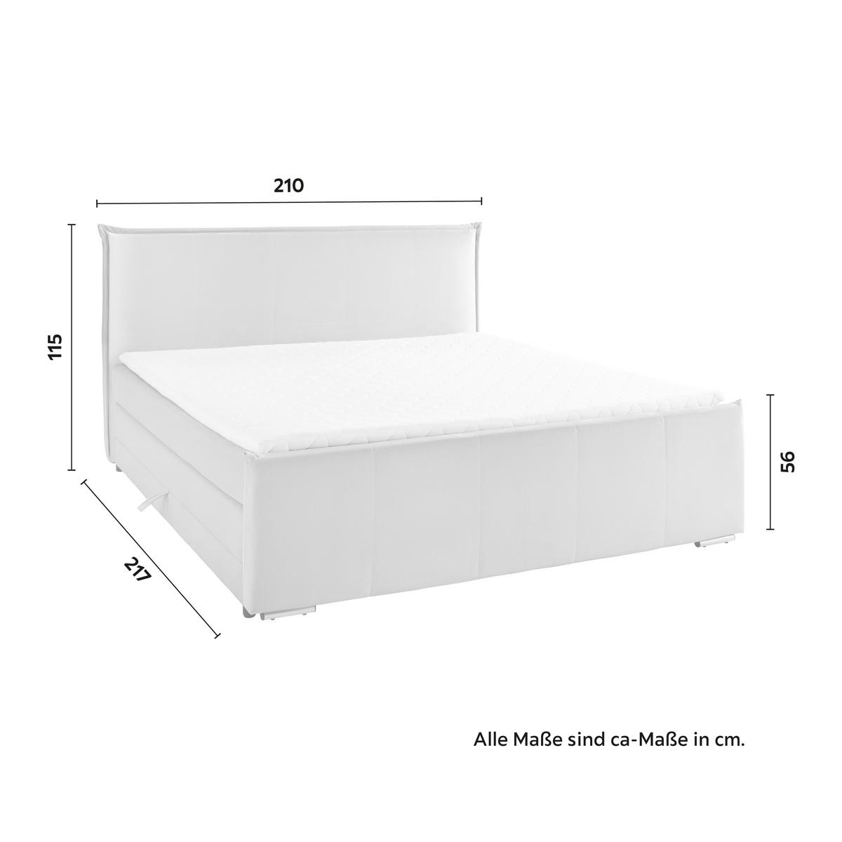 Boxspringbett Leonora ca. 200x200cm Beige mit Topper - Chromfarben/Beige, Modern, Holz/Textil (200/200cm) - Bessagi Home