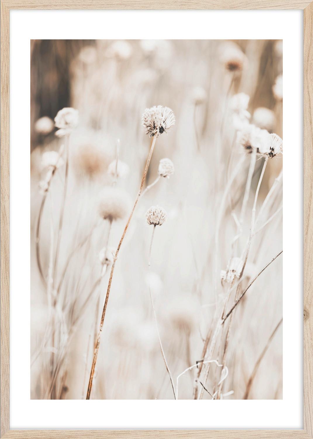 OBRAZ IMAGE - beżowy/biały, materiał drewnopochodny/tworzywo sztuczne (50/70cm) - Mömax