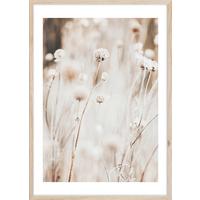 OBRAZ IMAGE - beżowy/biały, materiał drewnopochodny/tworzywo sztuczne (50/70cm) - Mömax