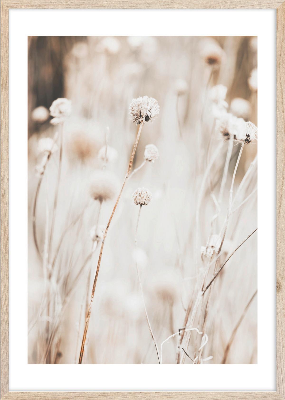 OBRAZ IMAGE - beżowy/biały, materiał drewnopochodny/tworzywo sztuczne (50/70cm) - Mömax