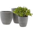 Vas Ornamental Pentru Ghiveci Marlene - negru, Lifestyle, plastic (26/26cm) - Modern Living Vas Ornamental Pentru Ghiveci Marlene - negru, Lifestyle, plastic (26/26cm) - Modern Living