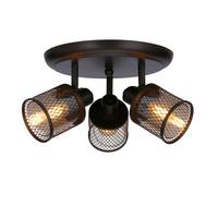 Reflektor Stropni 98-83098 Canabera - Basics, metal (35/35/17cm)