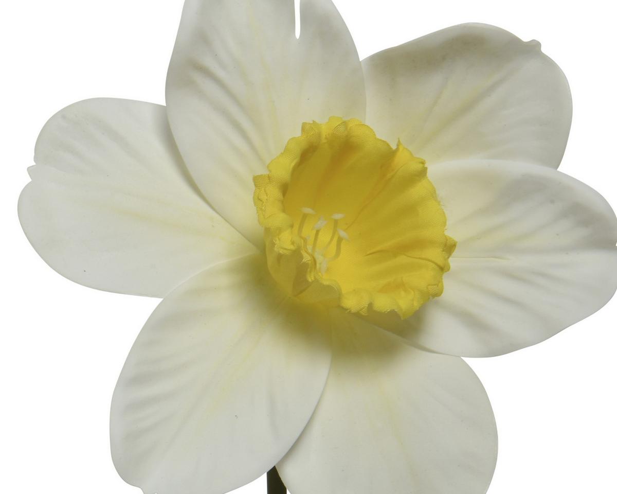Biljka Umjetna Narcis - bijela/žuta, Basics, plastika (11/11/39cm)