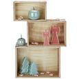 Kiste Ronny Naturfarben. - Naturfarben, Holz (32/19/12cm) - Mömax modern living Kiste Ronny Naturfarben. - Naturfarben, Holz (32/19/12cm) - Mömax modern living