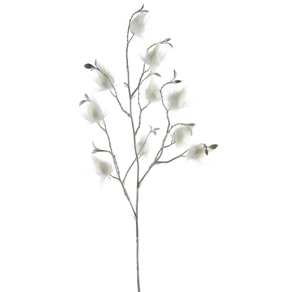 Umetna Rastlina Dekozweig I - bela/rjava, Basics, umetna masa (76cm) - Mömax