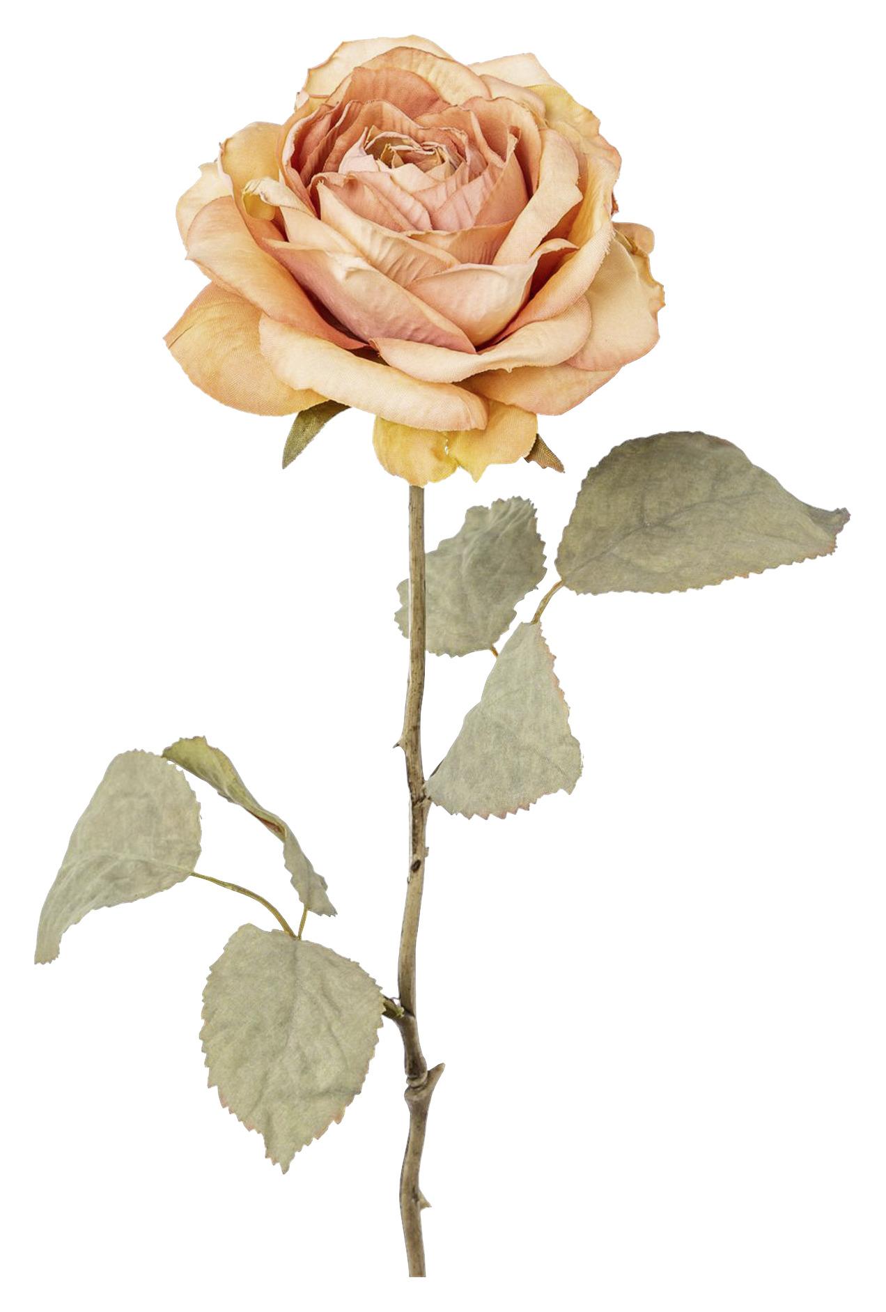 Kunstpflanze Rose I in Altrosa - Altrosa/Braun, Natur, Kunststoff/Textil (56cm)