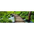 Glasbild Green Boardwalk, ca. 33x98x2cm - Multicolor, MODERN, Glas (33/98/2cm) - MÖMAX modern living