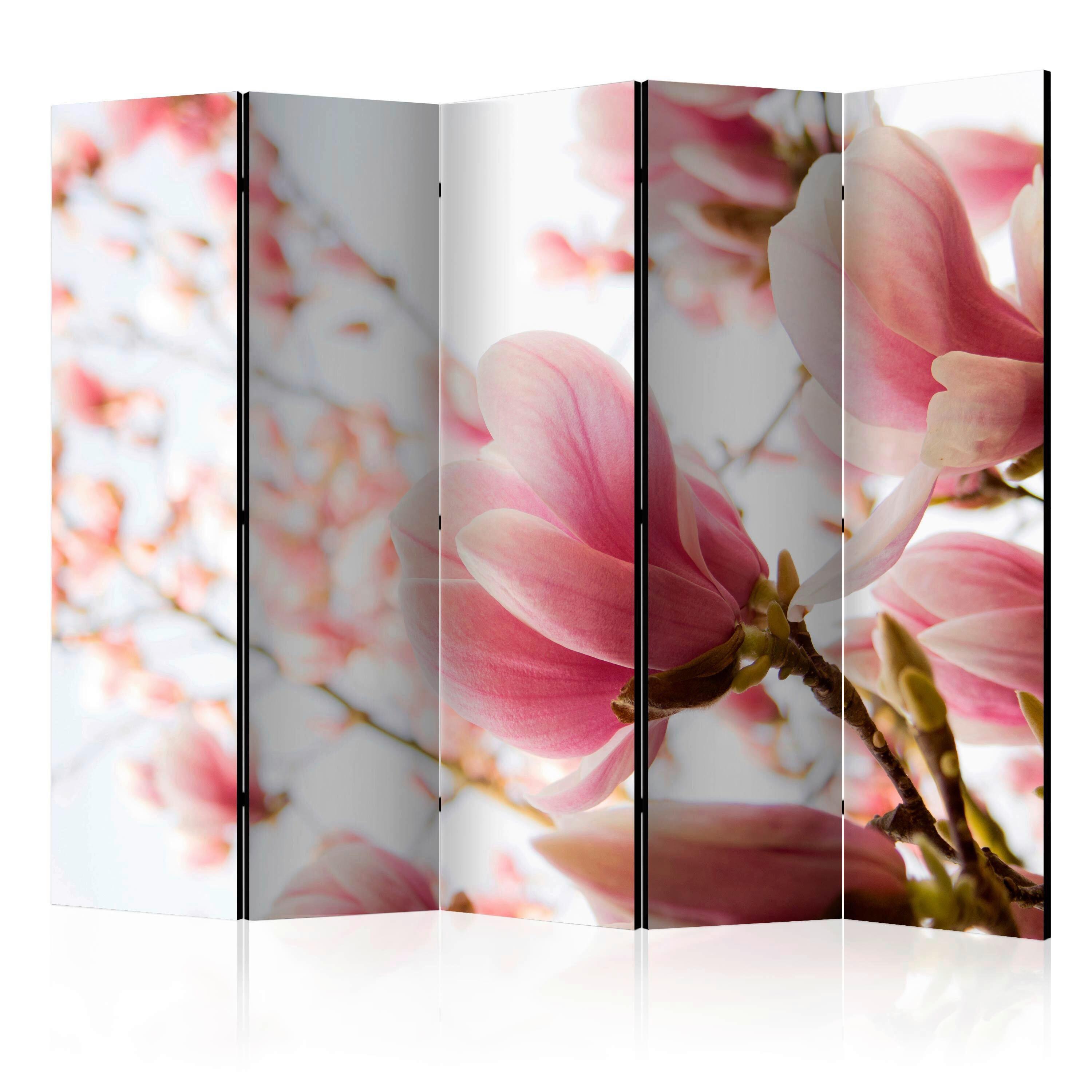 Paravan Pink Magnolia I, 5-Delni, Dvostranski - pink/bela, Basics, tekstil/les (225/172/3cm) - artgeist