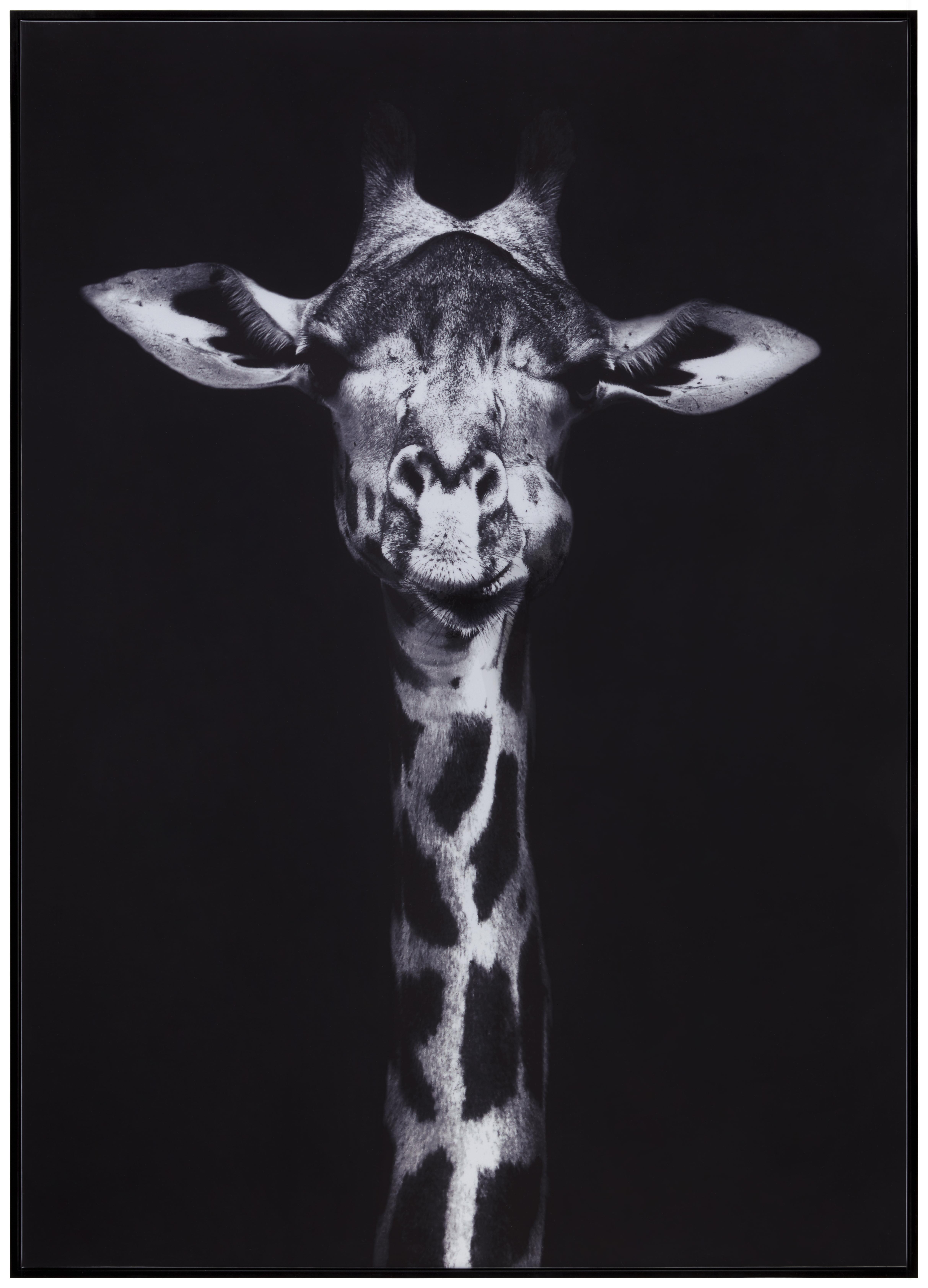 Bild Lucie Schwarz - Schwarz, Holz/Textil (102/142/4,3cm) - Modern Living