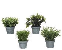 Plantă artificială Pall - (13cm)