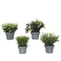 Plantă artificială Pall - (13cm)