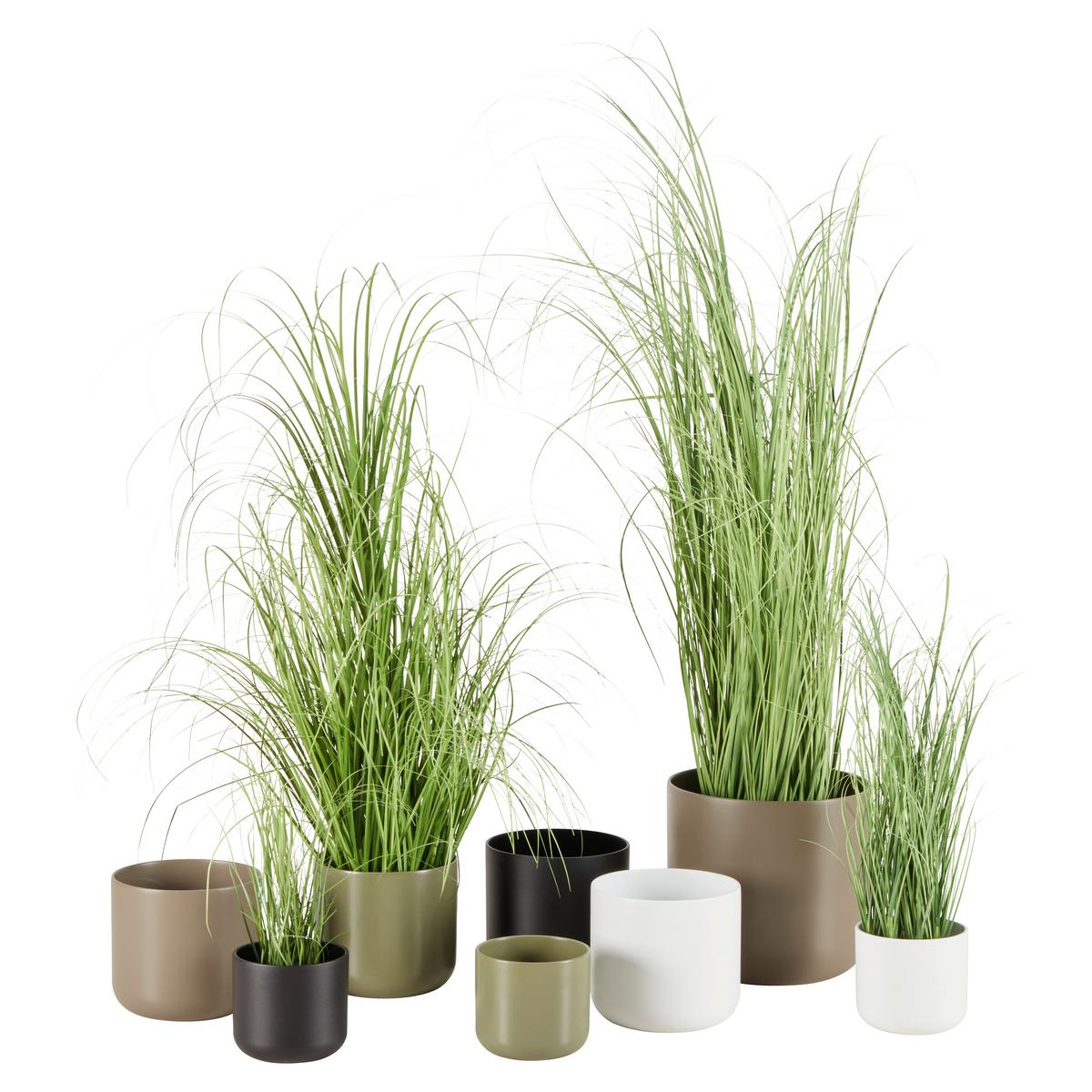 Übertopf Luis in diversen Farben - Taupe/Dunkelgrün, MODERN, Keramik (13,5/12,6cm) - Mömax