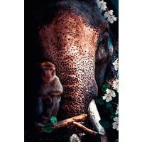 Bild Posterjunkie Multicolor ca. 98x148x10cm - Multicolor, Basics, Kunststoff/Metall (98/148/10cm) - Wandkraft