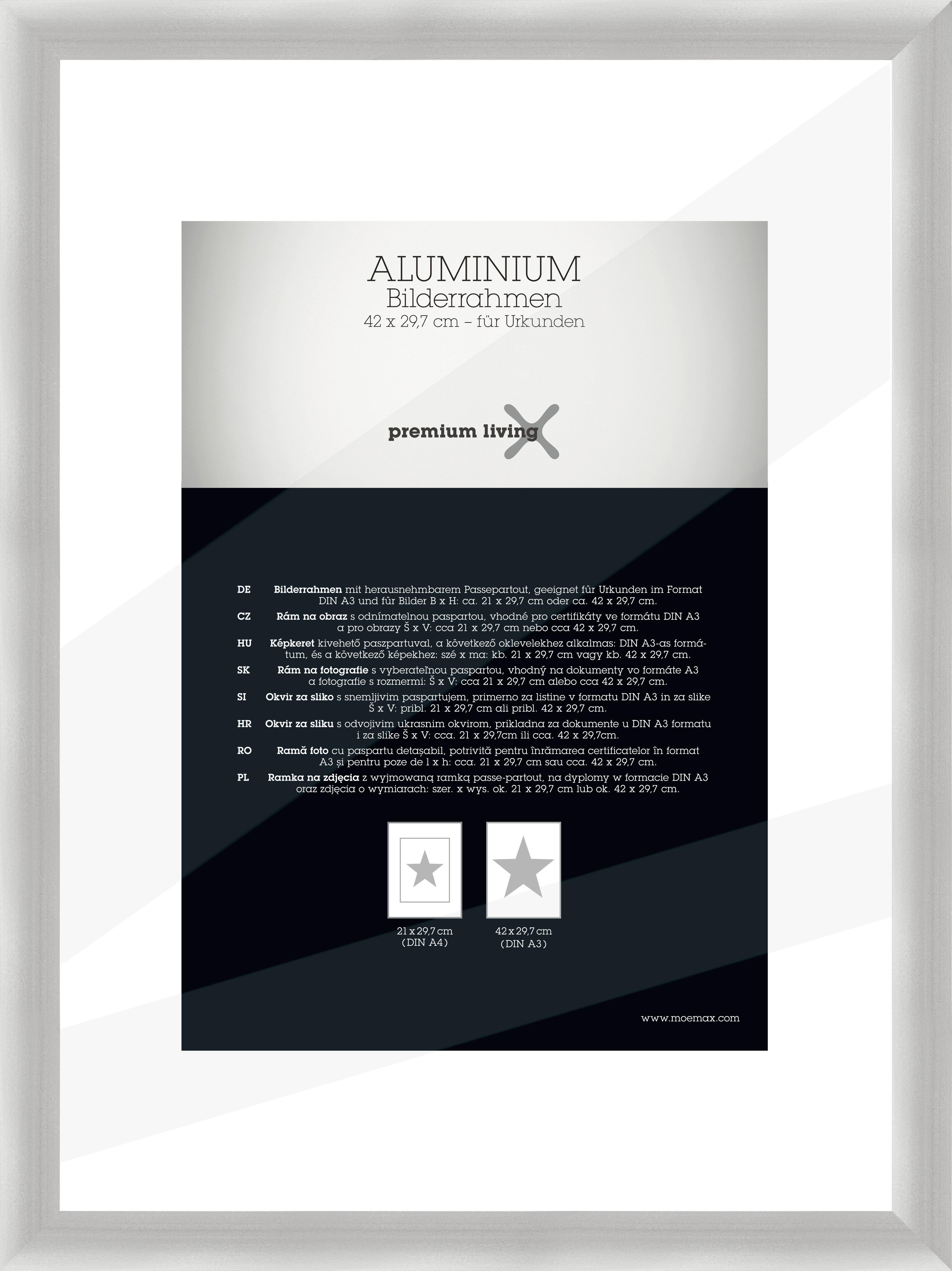 Képkeret Kb. 29,7x42cm Platinum - ezüstszínű, Basics, fém (32,8/45,1/2.2cm) - Premium Living