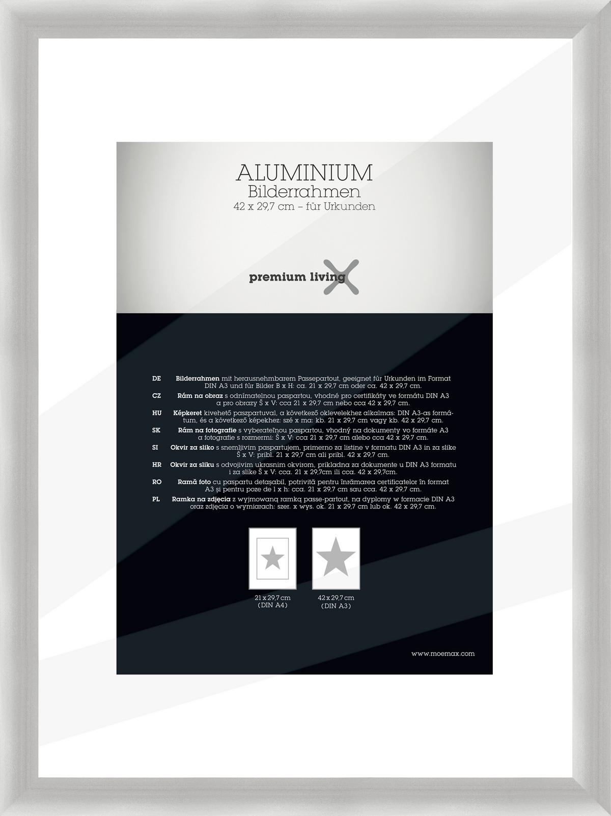 Okvir Za Slike Aluminium - srebrne barve, Basics, kovina (32,8/45,1/2.2cm) - Premium Living