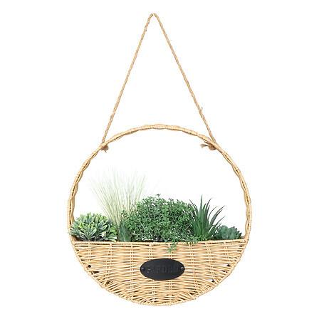 Plantă decorativă Garden - Basics (40cm)