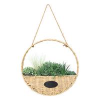 Plantă decorativă Garden - Basics (40cm)