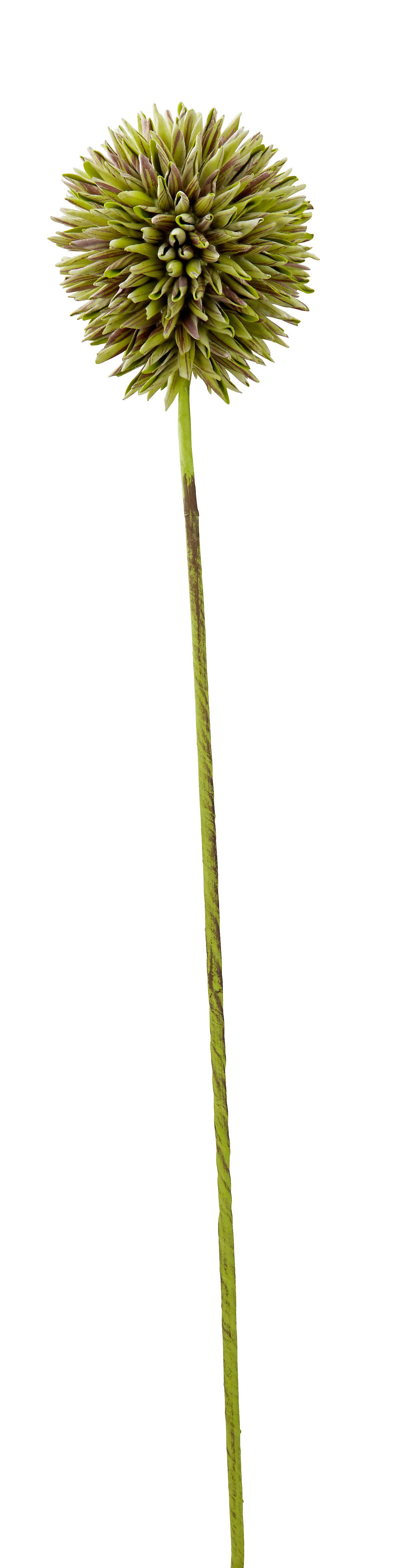Crenguţă de decor Romeo - verde, plastic (92 cm)