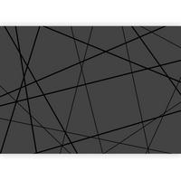 Fotótapéta Hde-3xlft454 - antracit, Lifestyle, textil (350/245cm) - artgeist