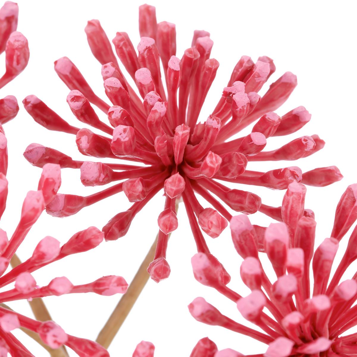 Kunstblume Heracleum I Pink ca. 75cm - Pink/Creme, Basics, Kunststoff/Textil (75cm) - Mömax