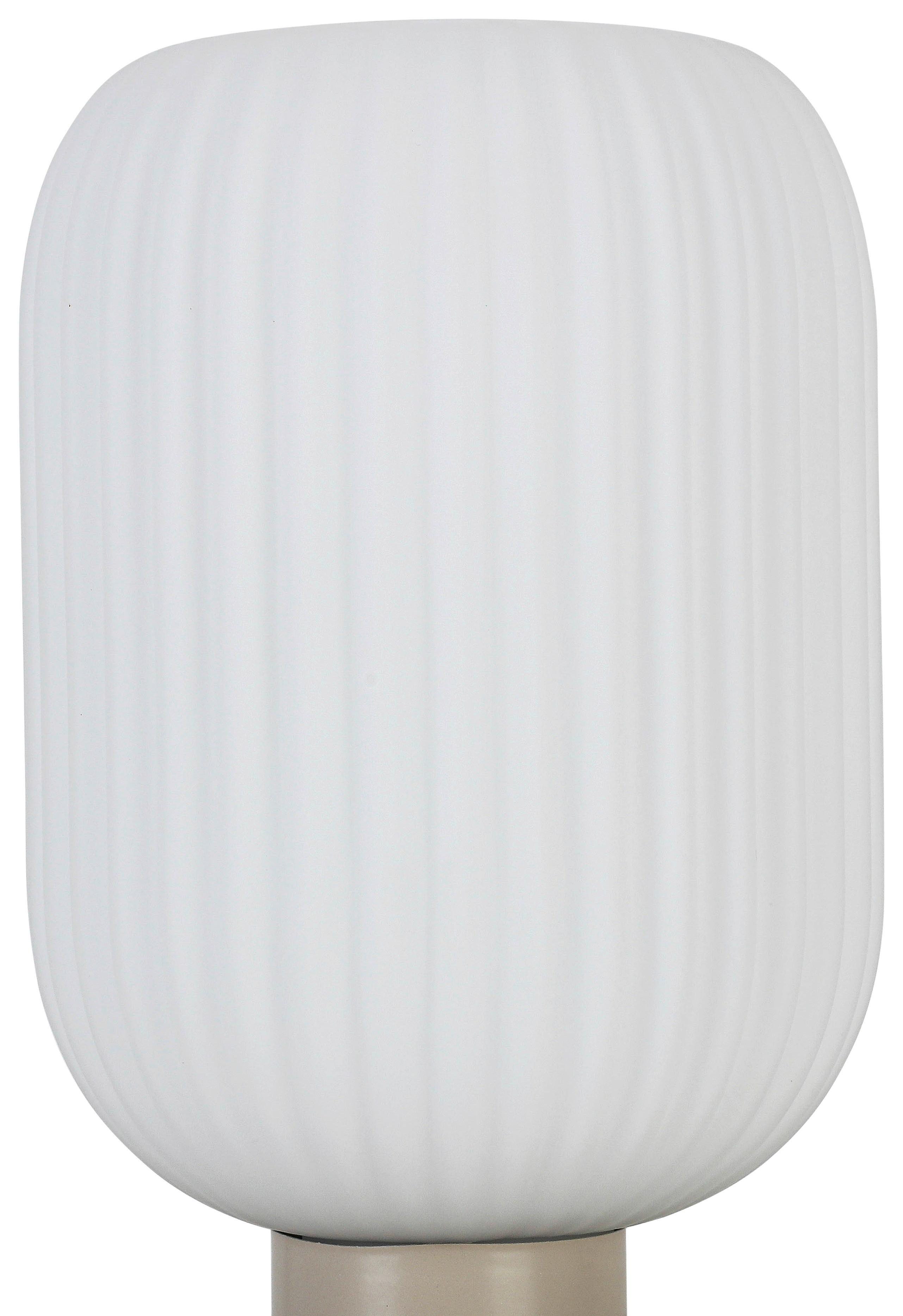 BORDSLAMPA EXI - vit/sandfärgad, Modern, metall/glas (14/24cm) - Mömax