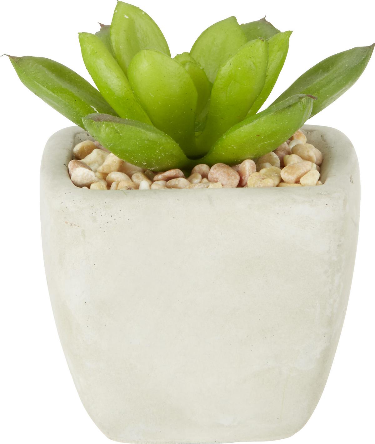 Plantă artificială Sukkulente - verde, Lifestyle, plastic (7-9cm) - Modern Living