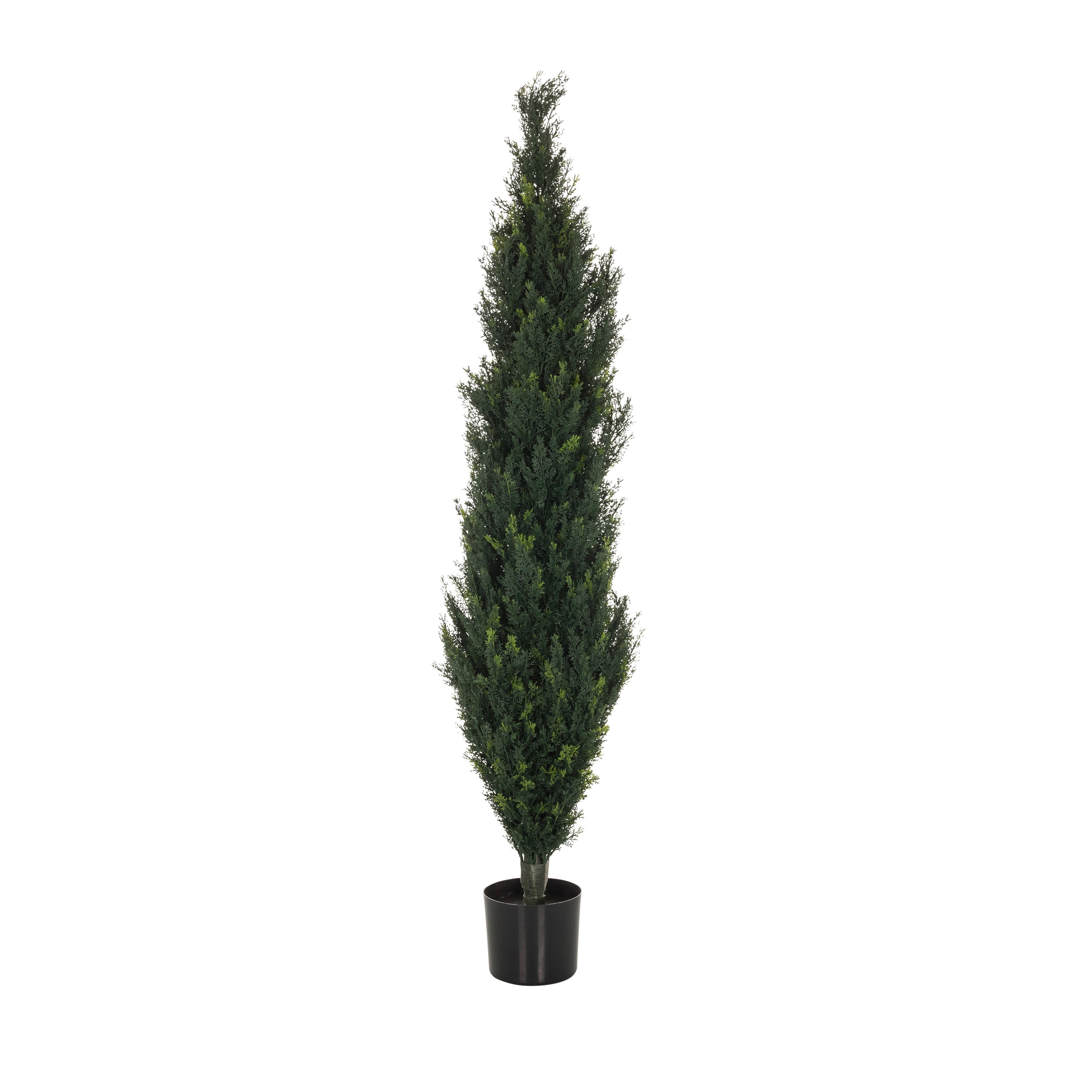 Umetna Rastlina Cedrus - črna/zelena, Basics, umetna masa (35/152/35cm) - MID.YOU