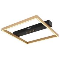 LED-Deckenleuchte Luffy Goldfarben max. 24 Watt - Goldfarben/Schwarz, Design, Kunststoff/Metall (43/39,2/6,9cm) - Globo