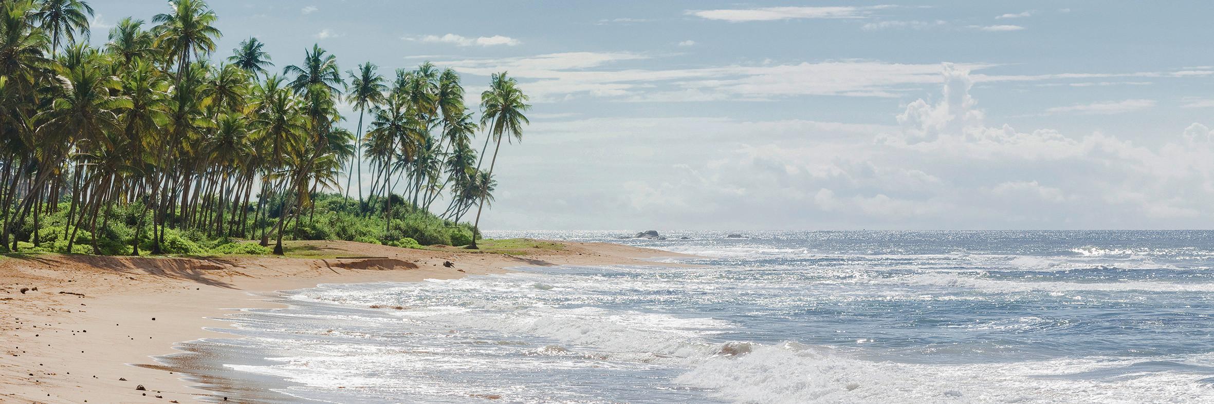 Keilrahmenbild Marcus ca. 150x50cm - Blau/Weiß, Basics, Holzwerkstoff (150/50/2.50cm) - Modern Living