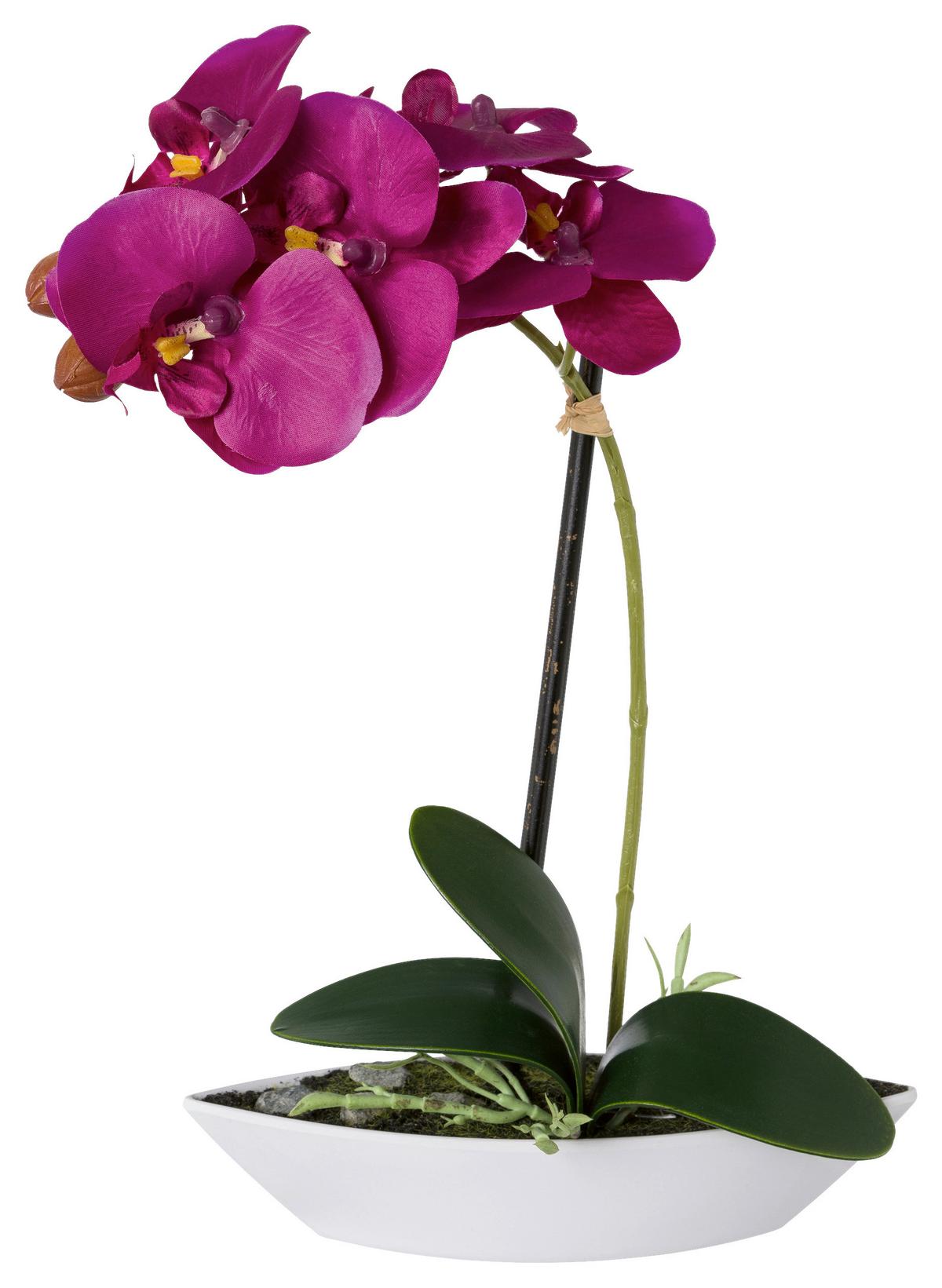 Kunstpflanze Orchideen 2er Set Lila/Grün - Lila/Weiß, Design, Keramik/Kunststoff (30cm)