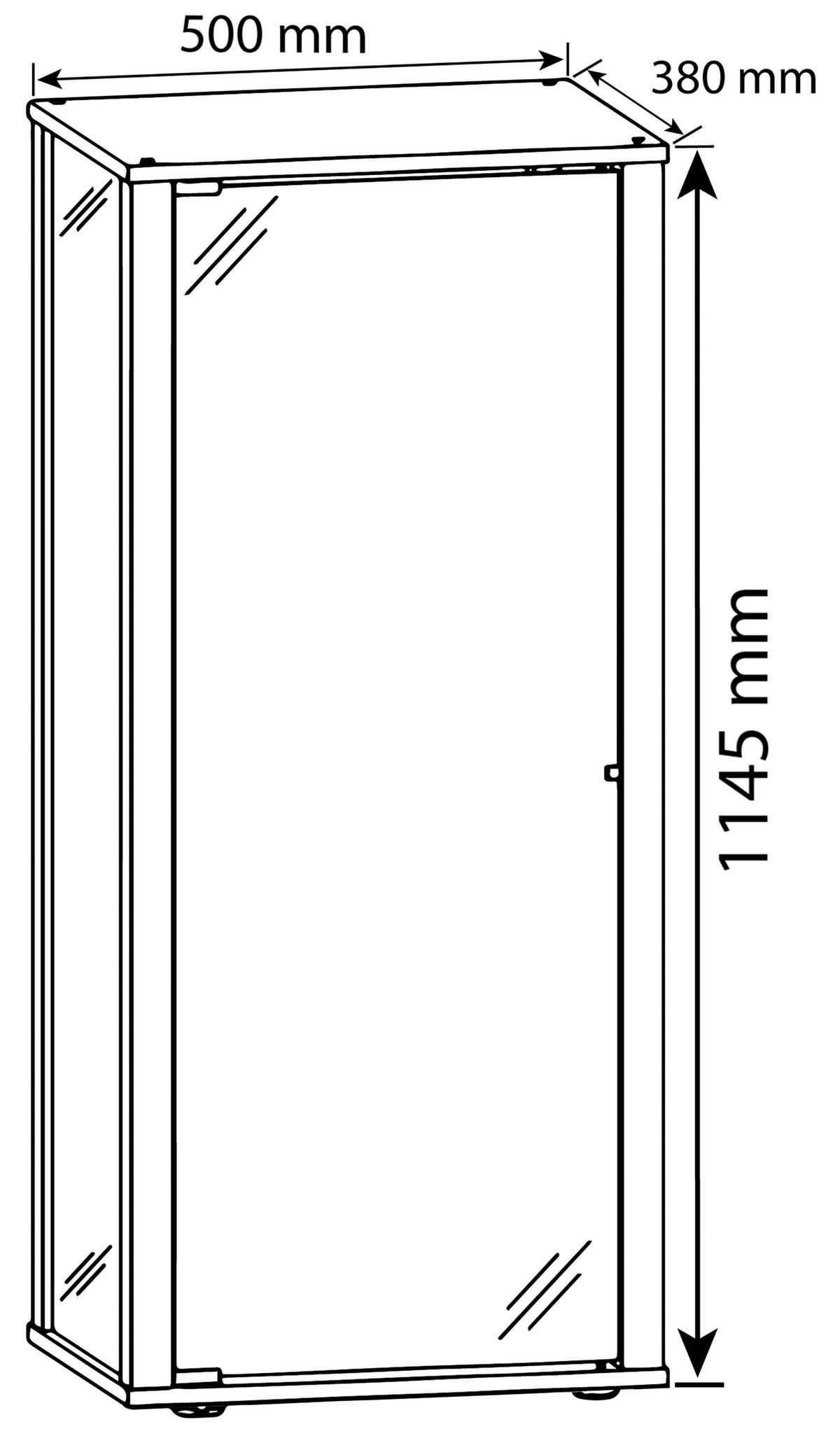 Vitrina Kavisa, Srebrna - srebrne barve/črna, Moderno, umetna masa/steklo (50/114,5/38cm) - MID.YOU