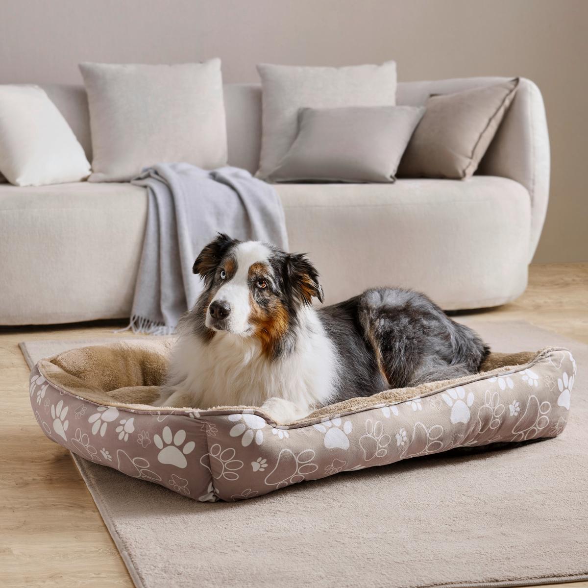 Haustierkissen Cubus Braun - Braun, Textil (60/80/17cm) - Mömax