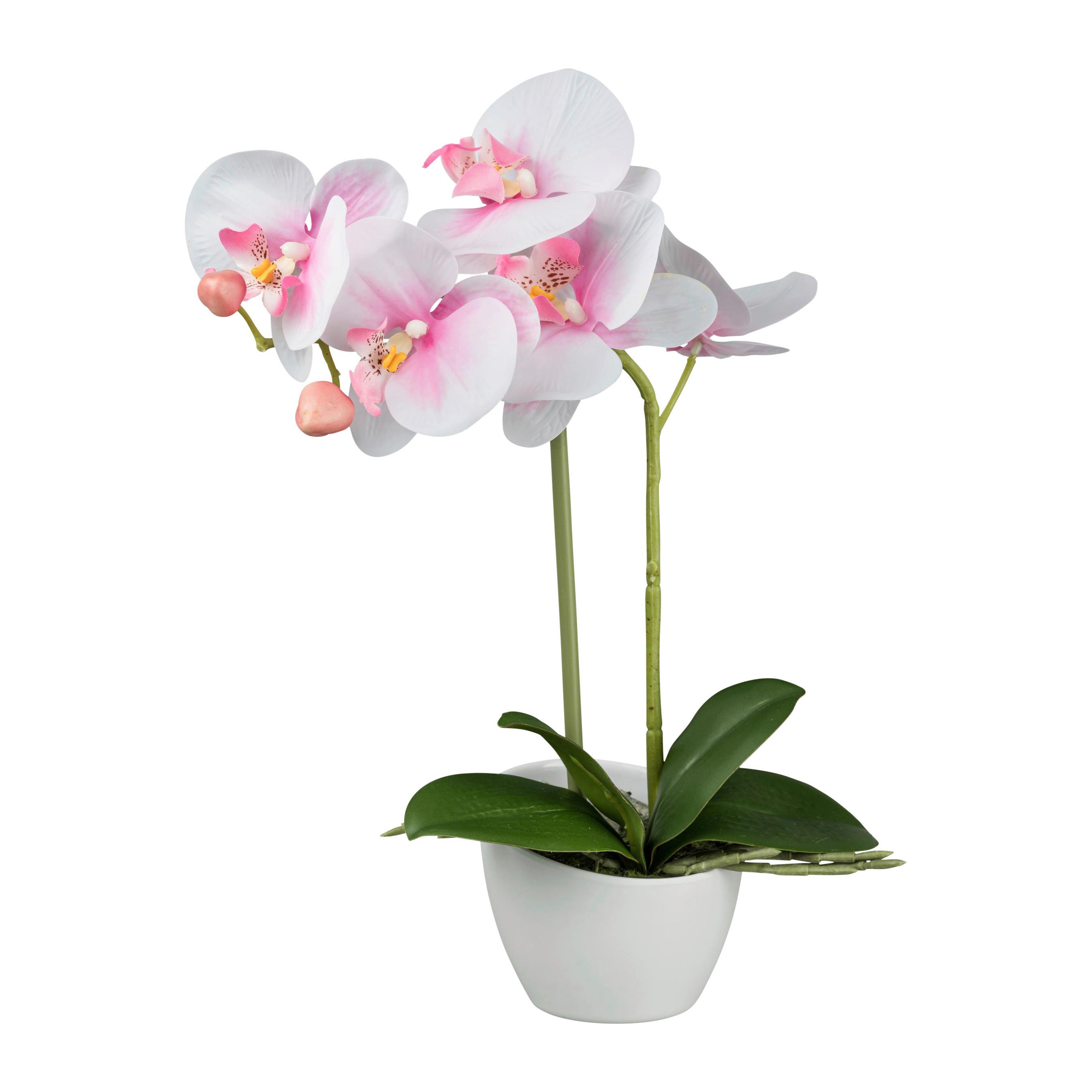 Kunstpflanze Orchideen Rosa/Grün - Rosa/Weiß, Design, Kunststoff (33cm)