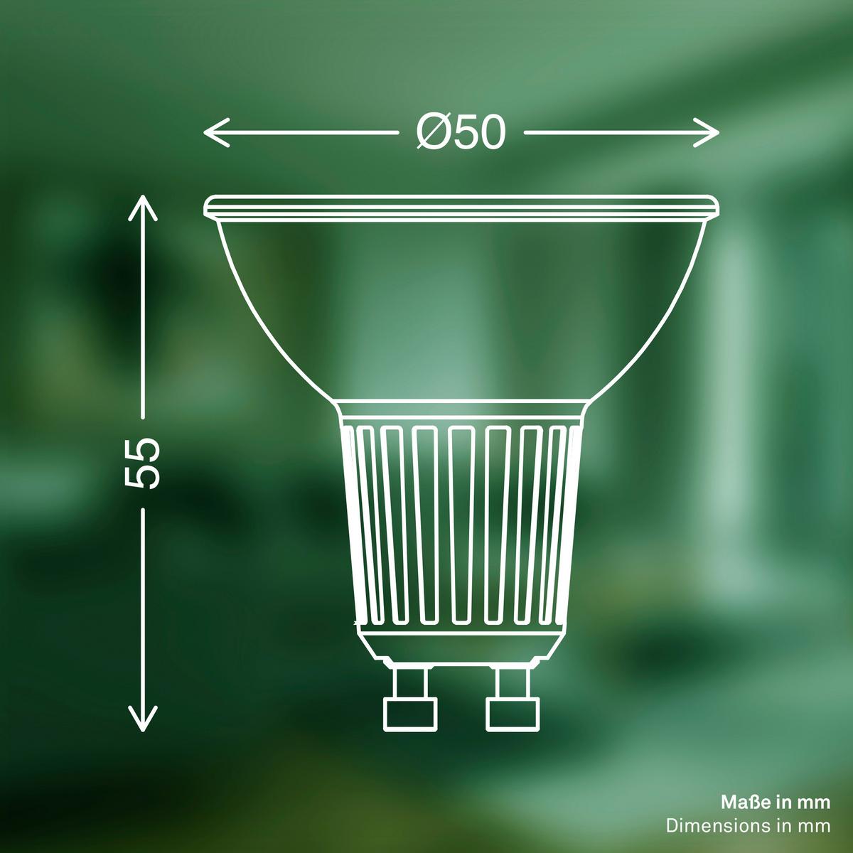 ŻARÓWKA LED 0557004 BULB 2ER PACK - kolor srebrny, Basics, szkło (5/5.6cm)