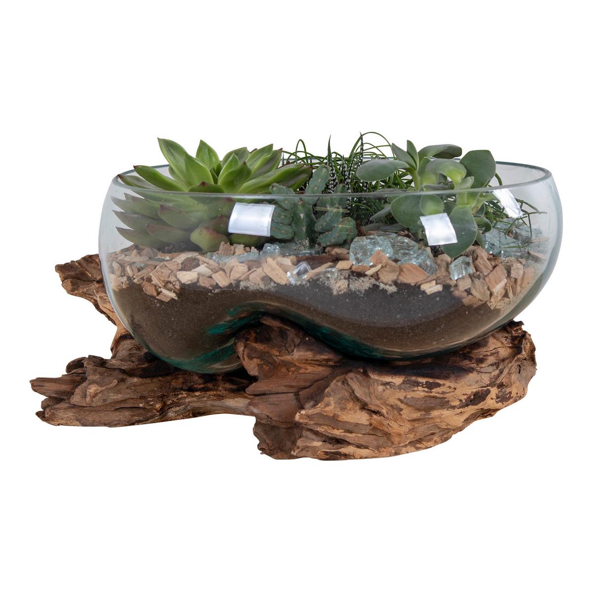 Dekoschale San Marino Klar/Teakfarben - Klar/Teakfarben, Basics, Glas/Holz (26/20cm)