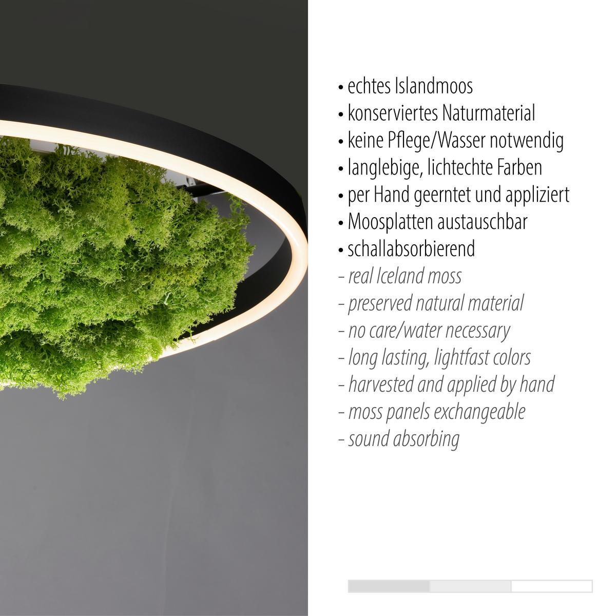 KINKIET 15392-66 GREEN RITUS - Natur, tworzywo sztuczne/materiały naturalne (58,5/58,5/5,3cm)