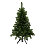 Karácsonyfa Charlton - Zöld, Műanyag/Fém (76/120cm)