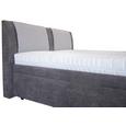 Pat Tapițat Elizabeth - taupe/negru, plastic/lemn (160/200cm) Pat Tapițat Elizabeth - taupe/negru, plastic/lemn (160/200cm)