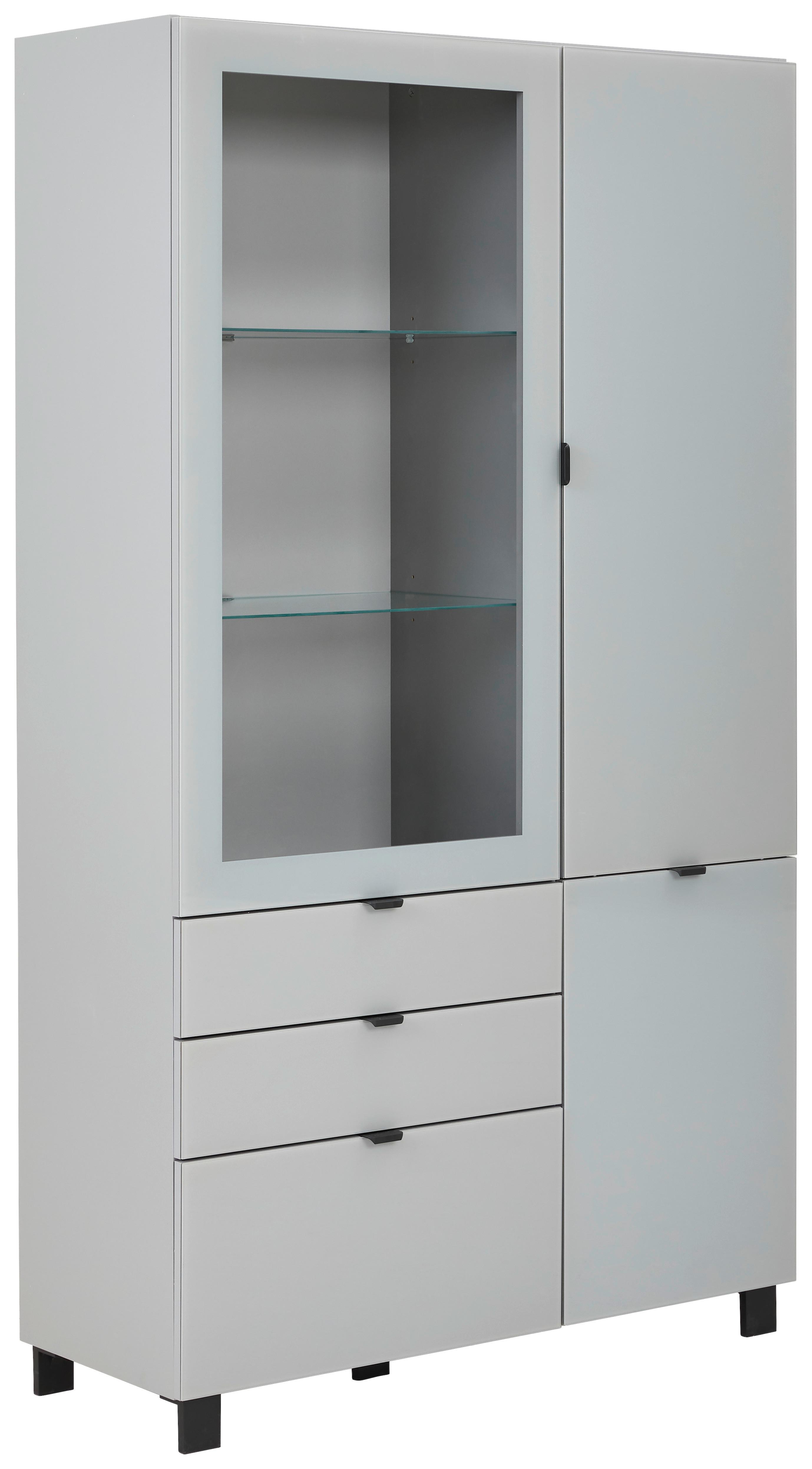 Vitrina Poole, Siva - siva/črna, Design, kovina/umetna masa (109,7/190,7/41,4cm) - Hom`in
