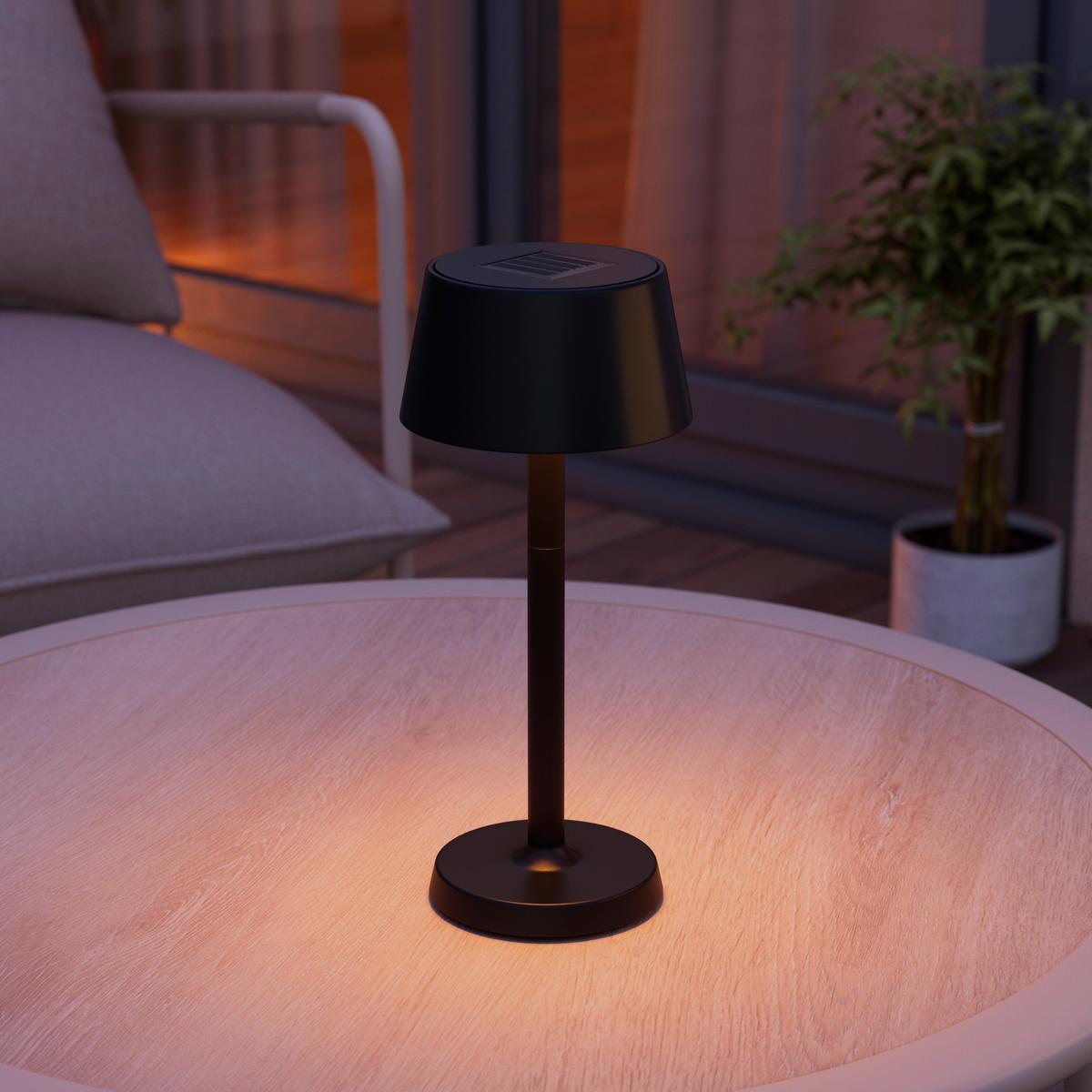 Solarleuchte Neue Schwarz max. 0,36 Watt - Schwarz, Romantik / Landhaus, Kunststoff (11,6/28cm) - Mömax